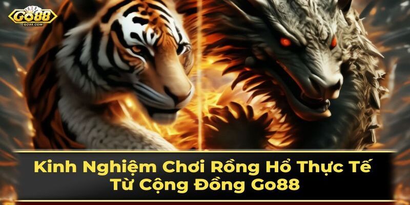 Kinh nghiệm chơi game Rồng Hổ Go88